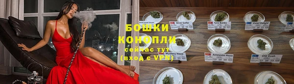 молекула духа Михайловск
