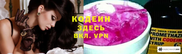 молекула духа Михайловск