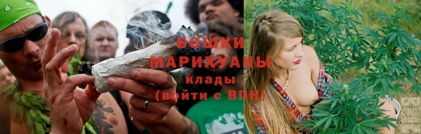 молекула духа Михайловск