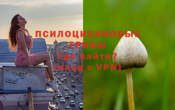 МДМА Михайловка
