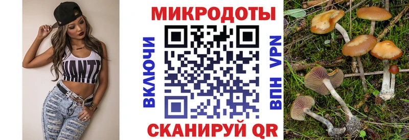 Галлюциногенные грибы Psilocybe  Нарткала 